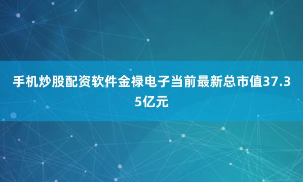 手机炒股配资软件金禄电子当前最新总市值37.35亿元