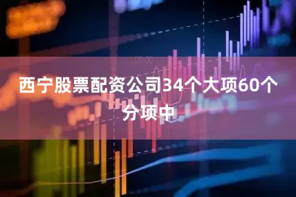 西宁股票配资公司34个大项60个分项中